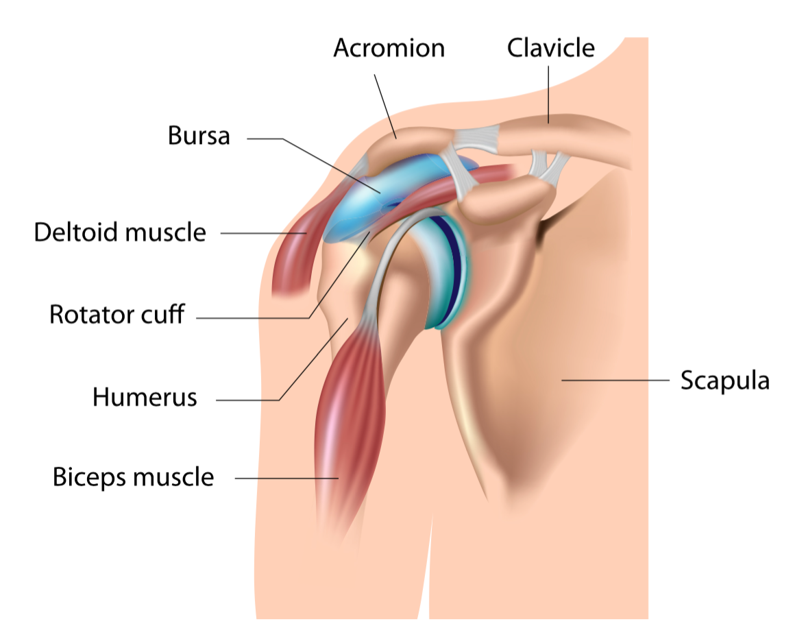 rotator cuff syndrome treatment