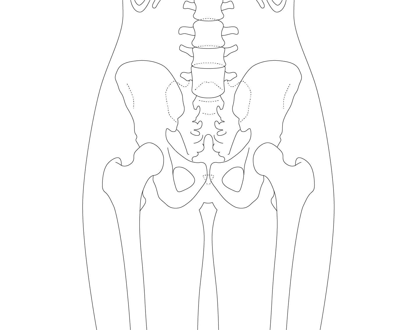 pelvis-hip-thigh-1 background lines