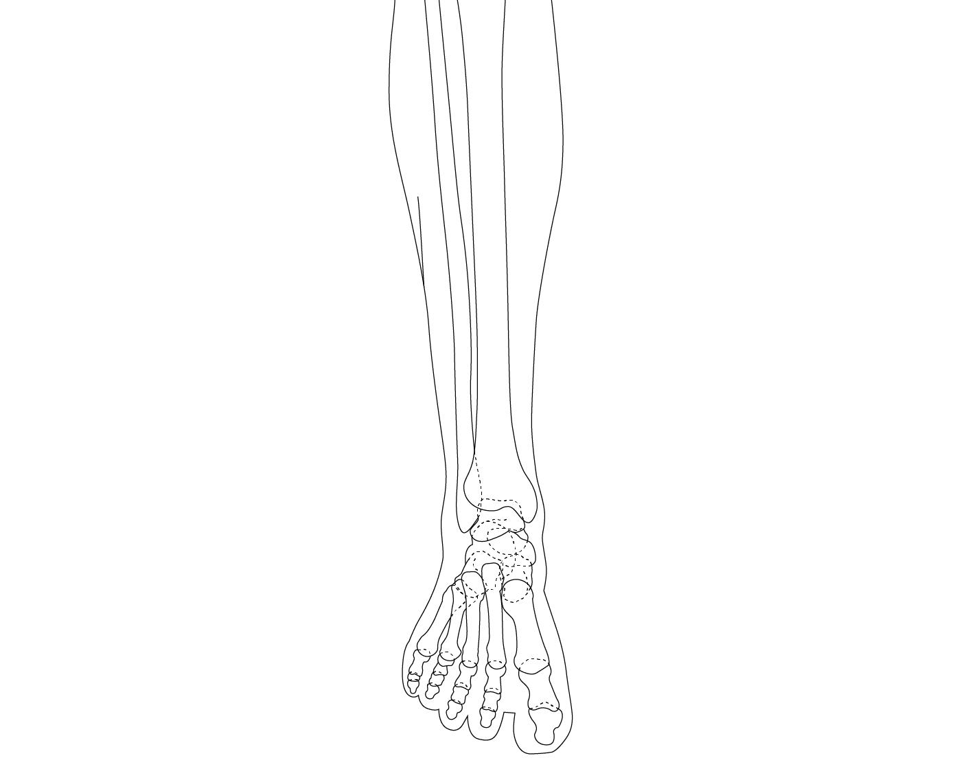 foot-ankle-3 background lines