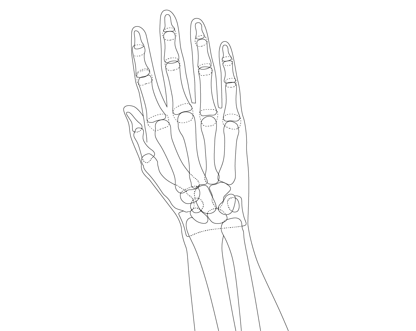 hand-wrist-1 background lines