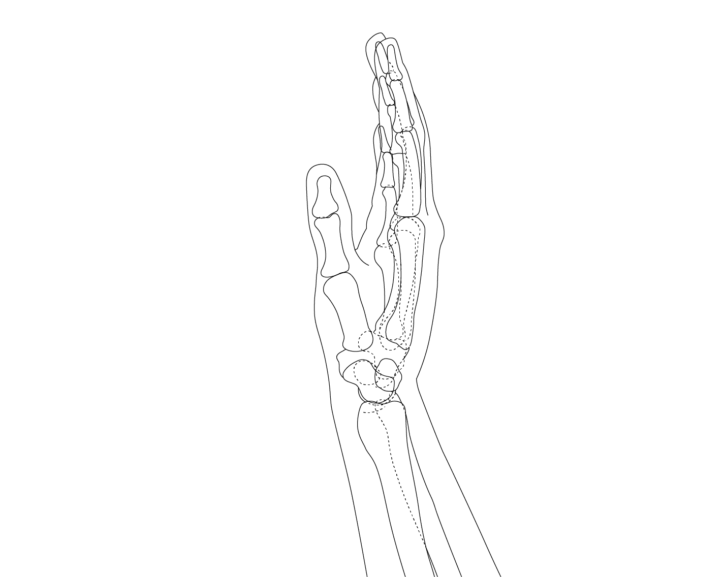hand-wrist-3 background lines