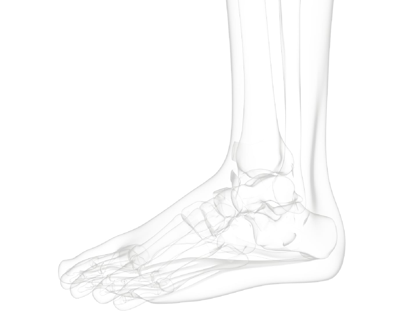 foot-ankle-1 background shade