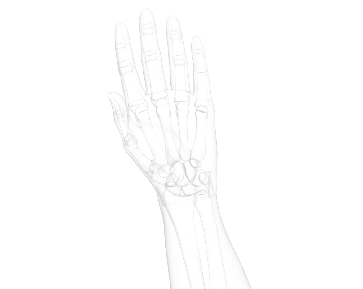 hand-wrist-1 background shade