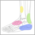 foot-ankle-2 thumbnail